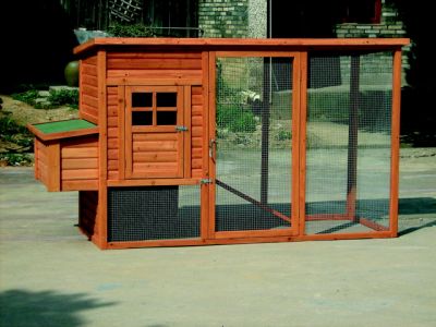 Poultry Shed Design